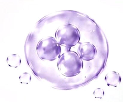 Plant exosomes